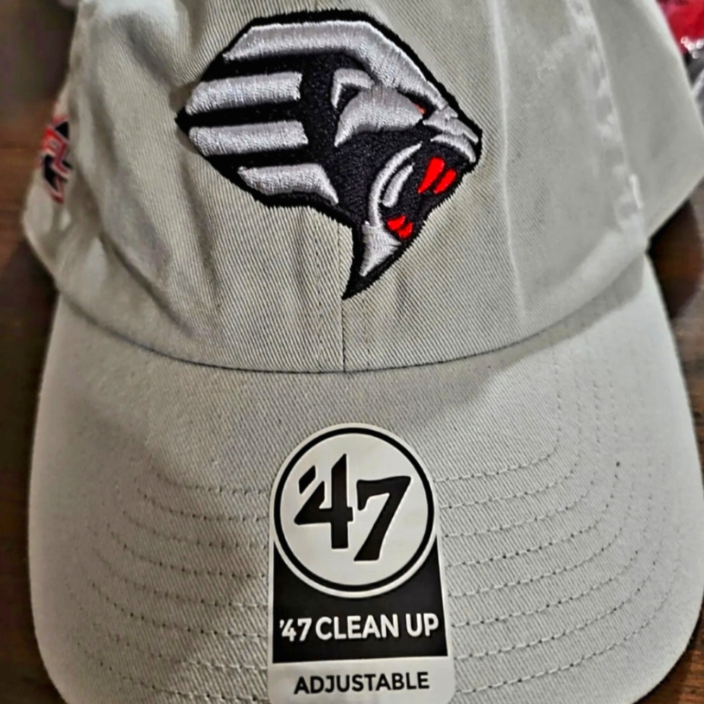 47 GUARDIANS NEW CAP